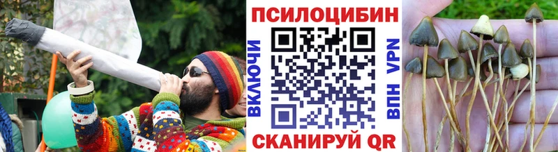 blacksprut как зайти  Павловский Посад  Псилоцибиновые грибы Magic Shrooms  как найти закладки 