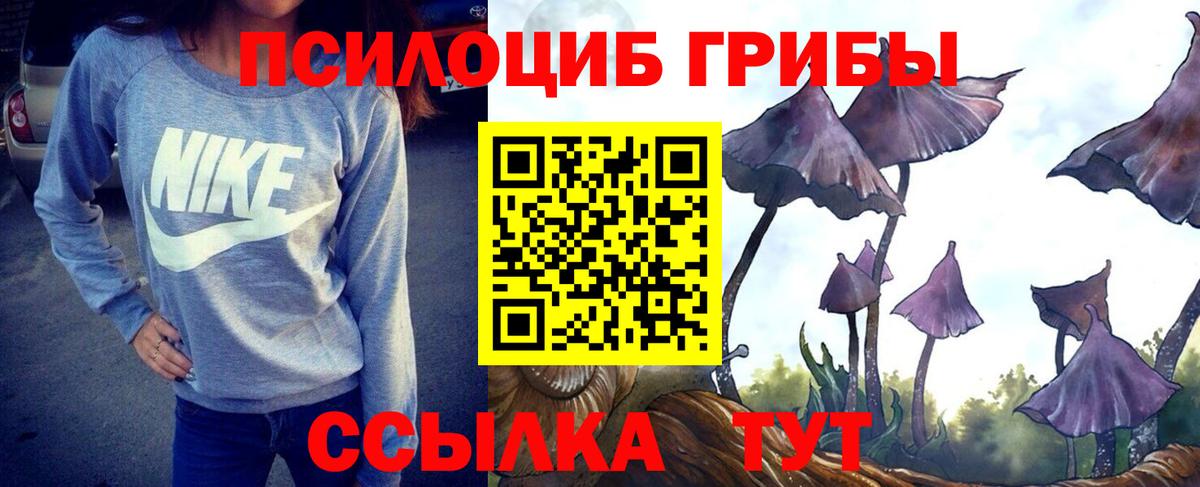 Павловский Посад  Псилоцибиновые грибы GOLDEN TEACHER  Псилоцибиновые грибы Psilocybe  Вход с VPN 