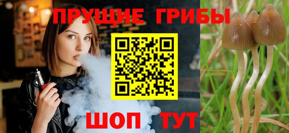Бошки Шишки Павловский Посад
